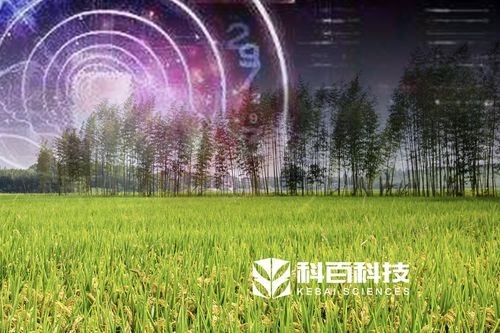 科百科技数字农业